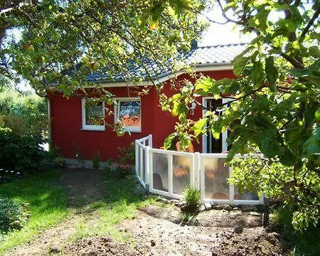 Rose Ferienhaus Kirchdorf (Poel)